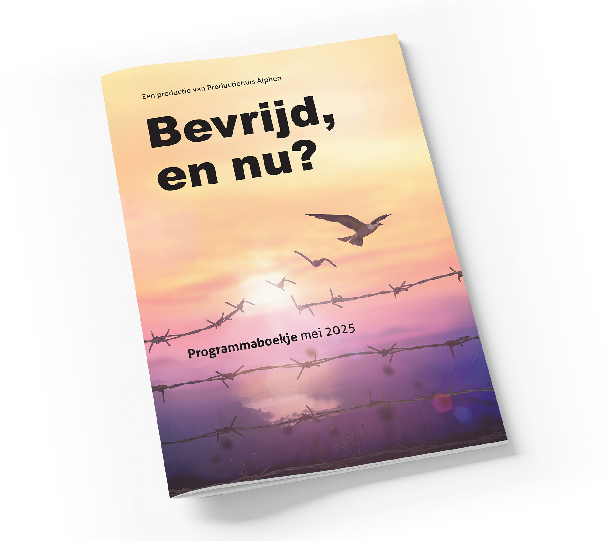 PA_programma